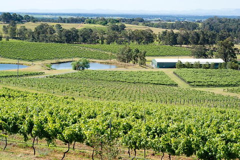 Hunter Valley All-Inclusive Small Group Tour - Perisher Accommodation 2