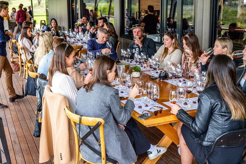 Hunter Valley All-Inclusive Small Group Tour - Perisher Accommodation 1