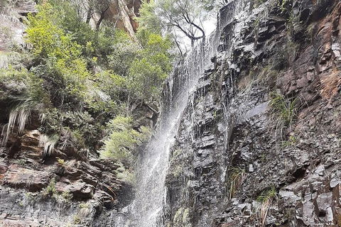 Blue Mountains Full Day Nature Tour For Four - Perisher Accommodation 1