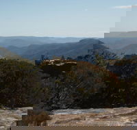 The Explorers' Discovery Tour - Gold Wine  Wildlife - Perisher Accommodation