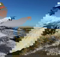 Private Walangari's Aboriginal Walking Tour in Bondi Beach - Perisher Accommodation