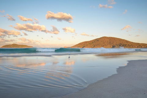 Tea Gardens And Hawks Nest Beach Bus Guided Tour - Perisher Accommodation 11