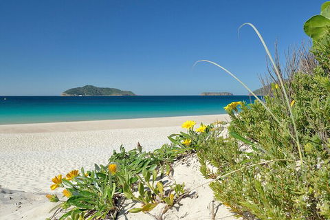 Tea Gardens And Hawks Nest Beach Bus Guided Tour - Perisher Accommodation 0