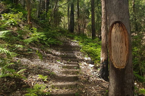Tea Gardens And Hawks Nest Beach Bus Guided Tour - Perisher Accommodation 9