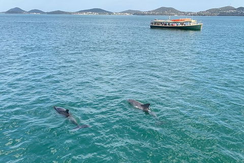 Tea Gardens And Hawks Nest Beach Bus Guided Tour - Perisher Accommodation 12