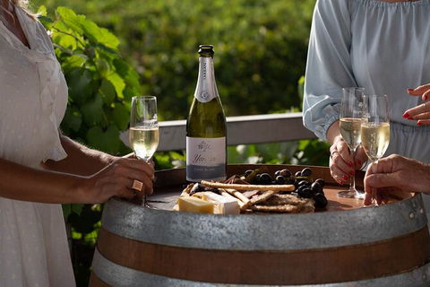 Cheese & Wine Tasting In Yenda - Perisher Accommodation 3