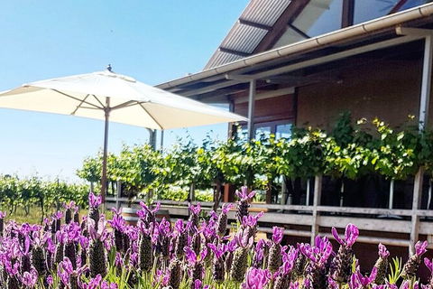 Cheese & Wine Tasting In Yenda - Perisher Accommodation 5