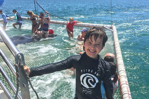 Port Stephens Private Bus Tour From Sydney, Option Of Dolphin Or Whale Cruises - Perisher Accommodation 2