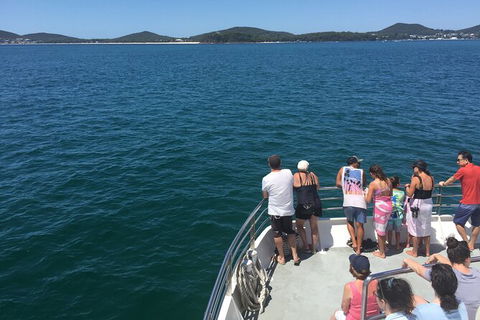 Port Stephens Private Bus Tour From Sydney, Option Of Dolphin Or Whale Cruises - Perisher Accommodation 3