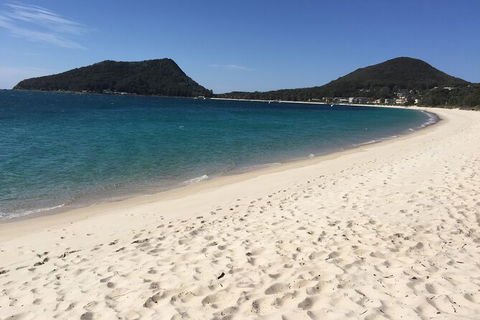 Port Stephens Private Bus Tour From Sydney, Option Of Dolphin Or Whale Cruises - Perisher Accommodation 1