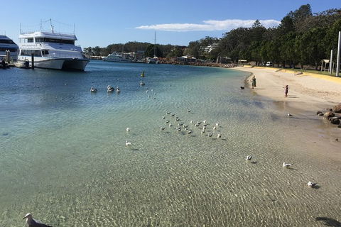 Port Stephens Private Bus Tour From Sydney, Option Of Dolphin Or Whale Cruises - Perisher Accommodation 8