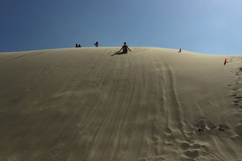 Port Stephens Private Bus Tour From Sydney, Option Of Dolphin Or Whale Cruises - Perisher Accommodation 6