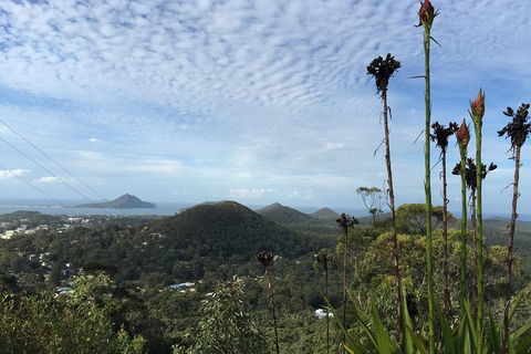 Port Stephens Private Bus Tour From Sydney, Option Of Dolphin Or Whale Cruises - Perisher Accommodation 4