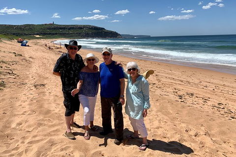 Shore Excursion: Sydney\'s Northern Beaches & Ku-ring-gai National Park Bus Tour - Perisher Accommodation 6