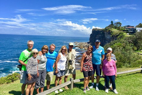 Shore Excursion: Sydney\'s Northern Beaches & Ku-ring-gai National Park Bus Tour - Perisher Accommodation 0