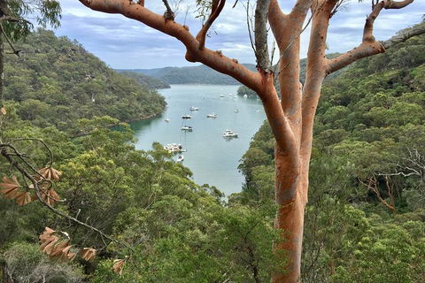 Shore Excursion: Sydney\'s Northern Beaches & Ku-ring-gai National Park Bus Tour - Perisher Accommodation 4