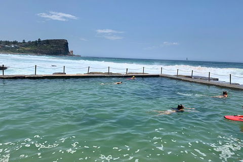 Shore Excursion: Sydney\'s Northern Beaches & Ku-ring-gai National Park Bus Tour - Perisher Accommodation 3