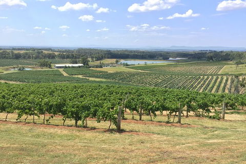 Hunter Valley Wine Tasting All Inclusive Private Bus Tour From Sydney - Perisher Accommodation 6