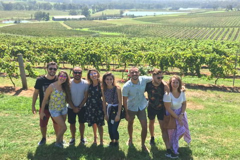 Hunter Valley Wine Tasting All Inclusive Private Bus Tour From Sydney - Perisher Accommodation 2
