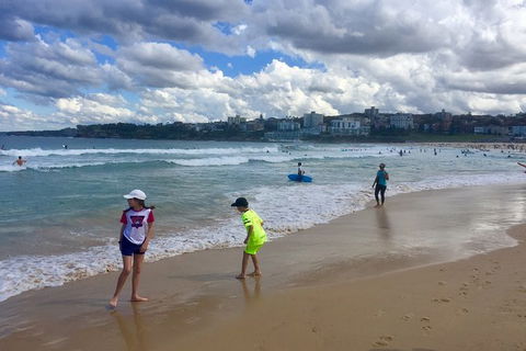 Sydney City, Harbour And Bondi All Inclusive Private Bus Tour, Included Transfer - Perisher Accommodation 6