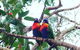 Central Coast Private Tour From Sydney, Plus Included Australian Reptile Park - thumb 7