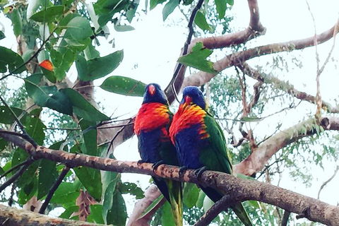 Central Coast Private Tour From Sydney, Plus Included Australian Reptile Park - Perisher Accommodation 7