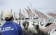 Central Coast Private Tour From Sydney, Plus Included Australian Reptile Park - thumb 4