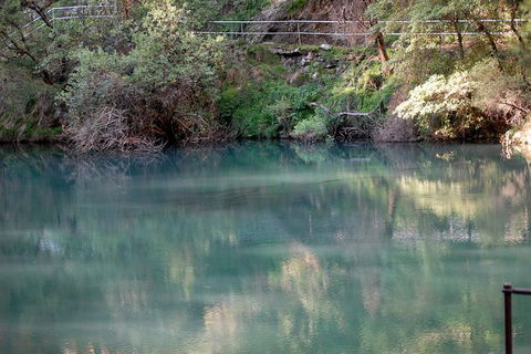 Jenolan Caves - Wildlife And Caves - Perisher Accommodation 1