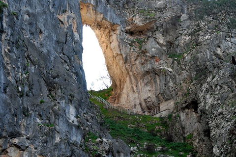 Jenolan Caves - Wildlife And Caves - Perisher Accommodation 3