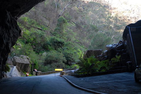 Jenolan Caves - Wildlife And Caves - Perisher Accommodation 6