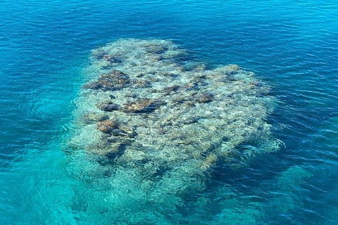 Lady Musgrave Day Trip From Bundaberg Including Snorkeling, Glass Bottom Tour And Guided Island Walk - Perisher Accommodation 2