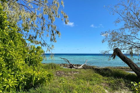 Lady Musgrave Day Trip From Bundaberg Including Snorkeling, Glass Bottom Tour And Guided Island Walk - Perisher Accommodation 6