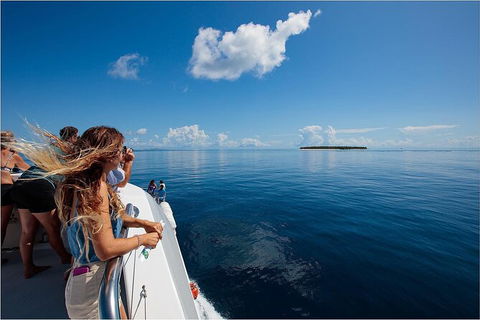 Lady Musgrave Day Trip From Bundaberg Including Snorkeling, Glass Bottom Tour And Guided Island Walk - Perisher Accommodation 4