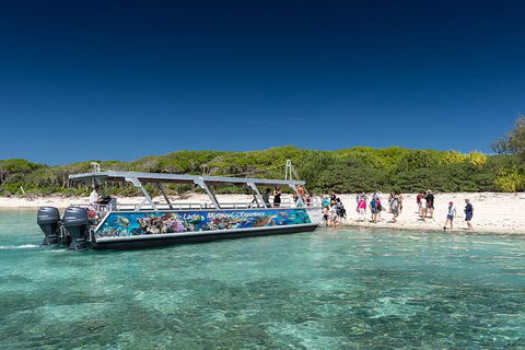 Lady Musgrave Day Trip From Bundaberg Including Snorkeling, Glass Bottom Tour And Guided Island Walk - Perisher Accommodation 5