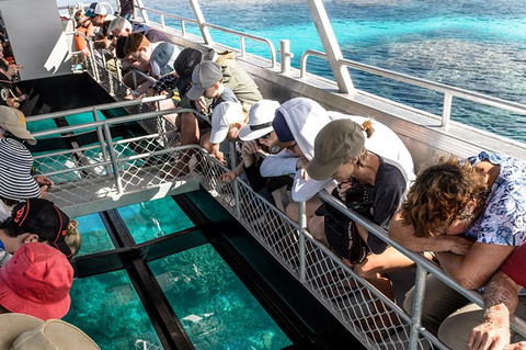 Lady Musgrave Day Trip From Bundaberg Including Snorkeling, Glass Bottom Tour And Guided Island Walk - Perisher Accommodation 3