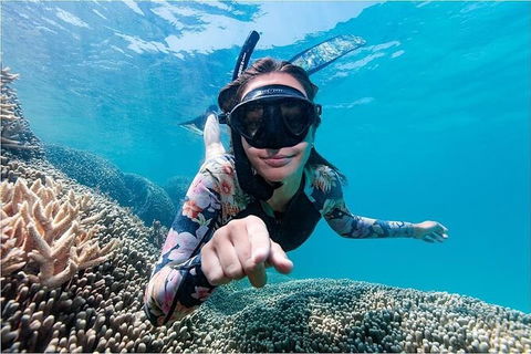 Lady Musgrave Day Trip From Bundaberg Including Snorkeling, Glass Bottom Tour And Guided Island Walk - Perisher Accommodation 1