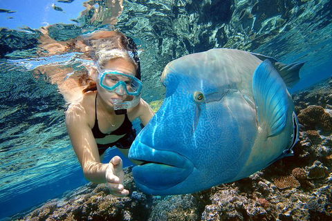 Cairns 2-Day Combo: Great Barrier Reef Cruise And Kuranda - Perisher Accommodation 0