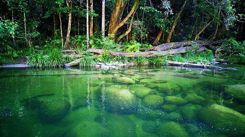 Cairns Adventure Package- 4 Tours In 3 Days! - Perisher Accommodation 6