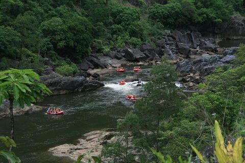 Cairns Adventure Package- 4 Tours In 3 Days! - Perisher Accommodation 3
