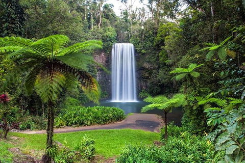 Cairns & Port Douglas All-Inclusive 7 Days Touring Package - Perisher Accommodation 5