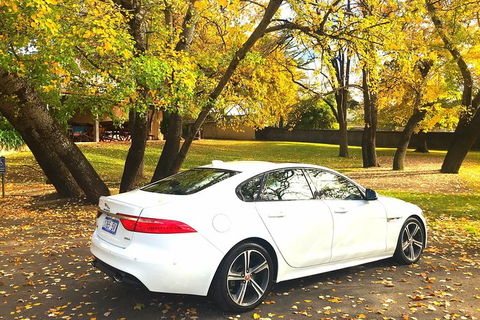 Luxury Jaguar Barossa Valley Half Day Private Tour For 2 - Perisher Accommodation 0