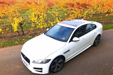 Luxury Jaguar Barossa Valley Half Day Private Tour For 2 - Perisher Accommodation 2