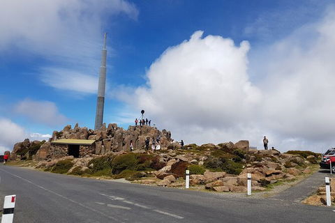 Mt. Wellington Morning Hike + Afternoon Beer & History Walk - Perisher Accommodation 21