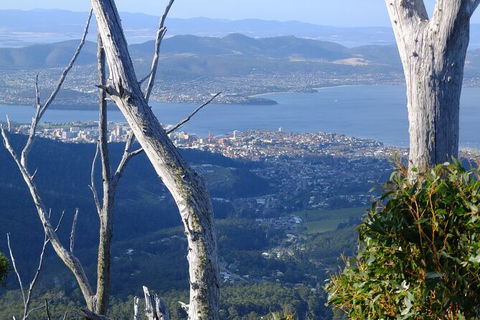 Mt. Wellington Morning Hike + Afternoon Beer & History Walk - Perisher Accommodation 10