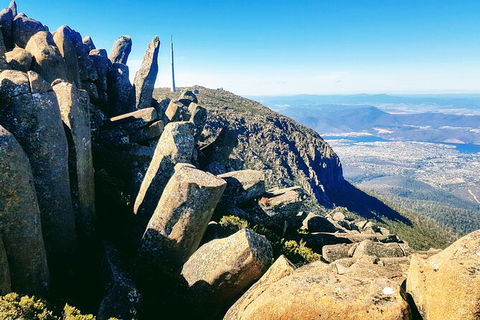 Mt. Wellington Morning Hike + Afternoon Beer & History Walk - Perisher Accommodation 11