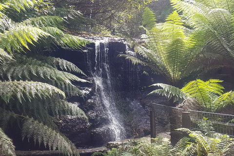 Mt. Wellington Morning Hike + Afternoon Beer & History Walk - Perisher Accommodation 16