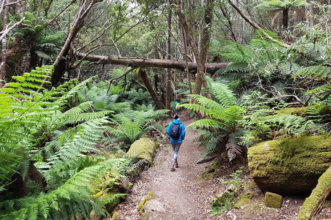 Mt. Wellington Morning Hike + Afternoon Beer & History Walk - Perisher Accommodation 7