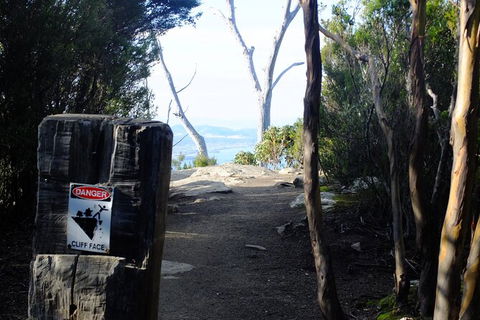 Mt. Wellington Morning Hike + Afternoon Beer & History Walk - Perisher Accommodation 14