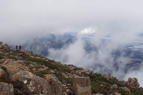 Mt. Wellington Morning Hike + Afternoon Beer & History Walk - Perisher Accommodation 18