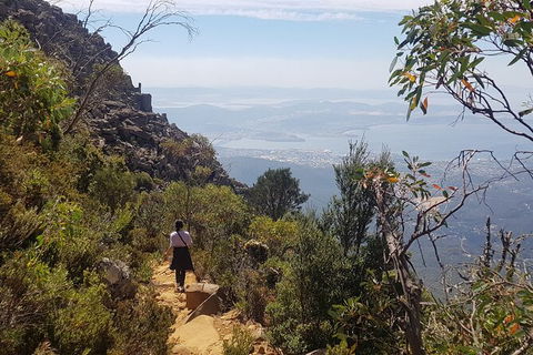 Mt. Wellington Morning Hike + Afternoon Beer & History Walk - Perisher Accommodation 1